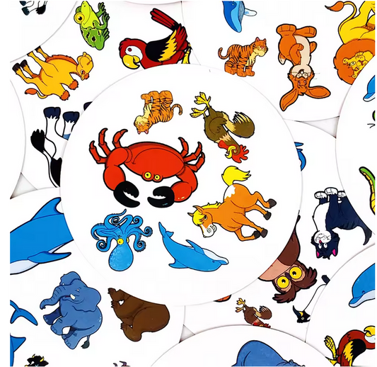 Jeu d’observation animaux